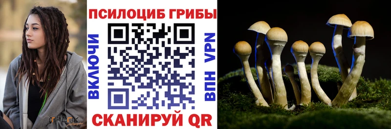 Галлюциногенные грибы GOLDEN TEACHER  Купить где  Давлеканово 